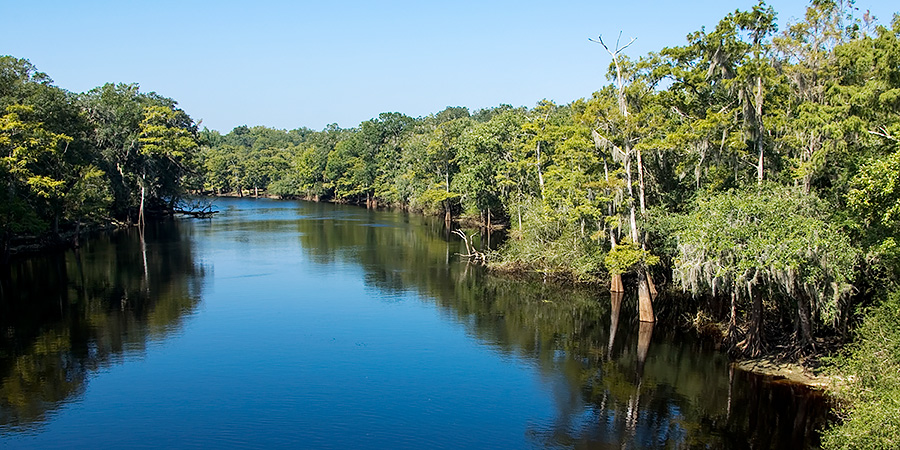 Cypress river in the Florida panhandle