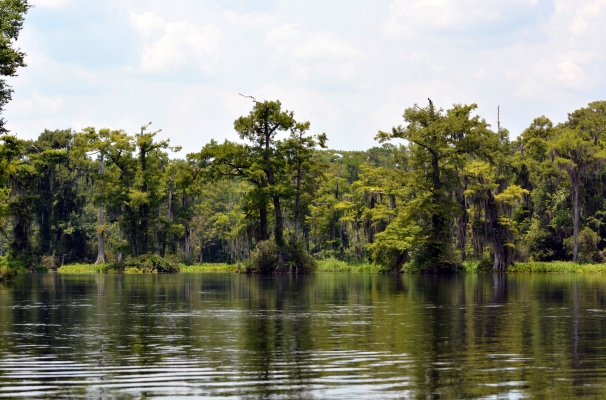 Wakulla Springs