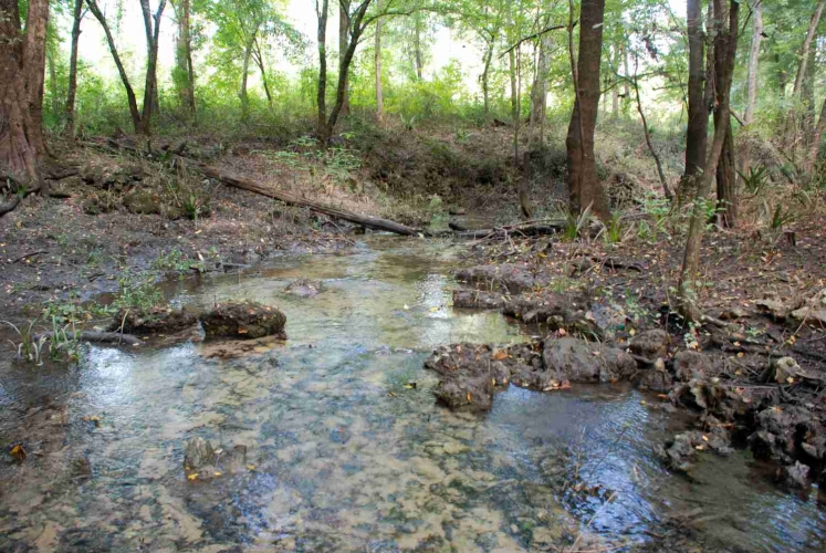 Chipola_039_site_banner