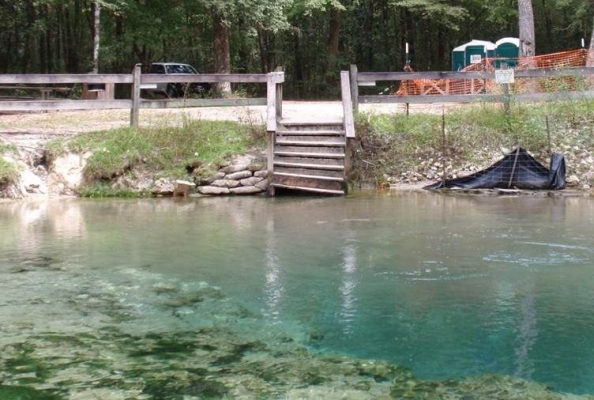 Williford-Spring_banner