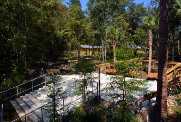 Williford-Steps_banner