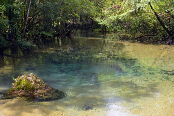 Williford_Spring_banner