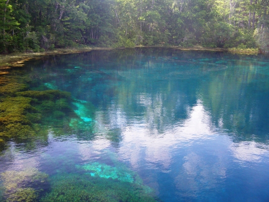 Wakulla Springs